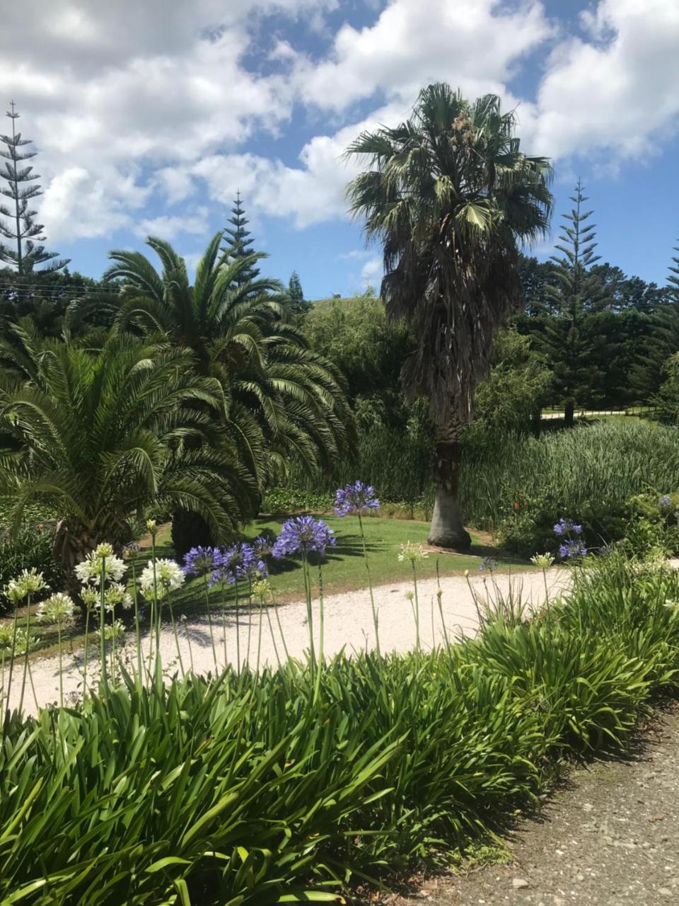Paradise Grove Whangamata Eksteriør bilde