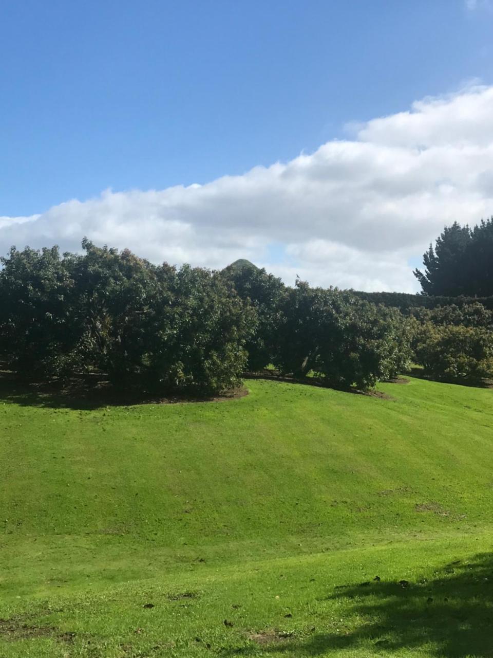 Paradise Grove Whangamata Eksteriør bilde