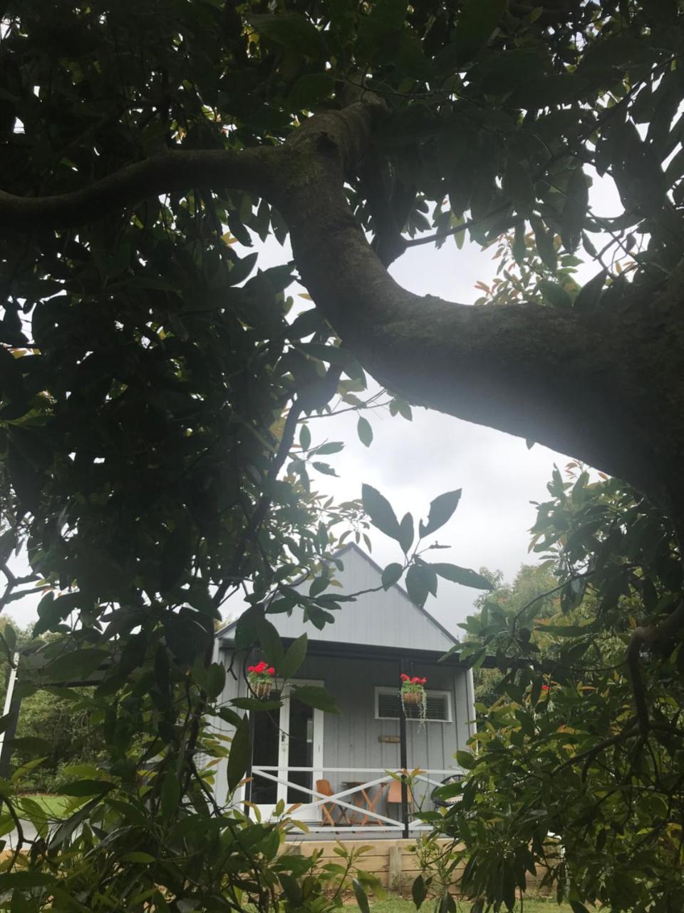 Paradise Grove Whangamata Eksteriør bilde