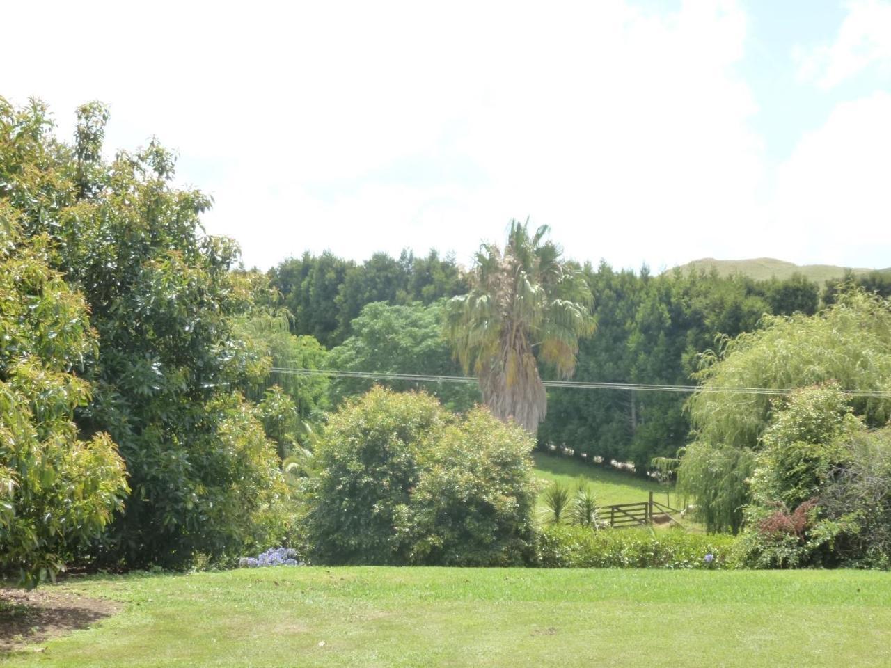 Paradise Grove Whangamata Eksteriør bilde