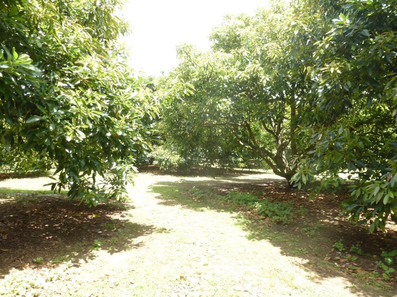 Paradise Grove Whangamata Eksteriør bilde